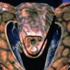Benutzeravatar